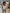 Fascia doppia Susymix