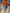 Short denim Susy Mix