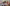 Banner promozionale
